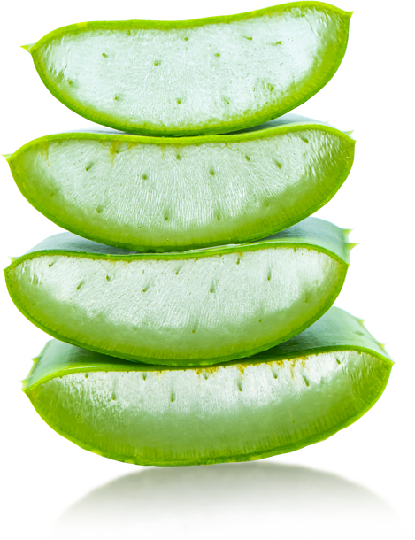Sliced Aloe Vera 